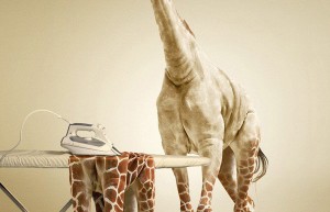 Creative synthesis, use PS to create a creative picture of a giraffe ironing clothes – photo synthesis